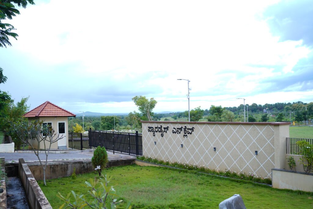 DSC09329 (1)